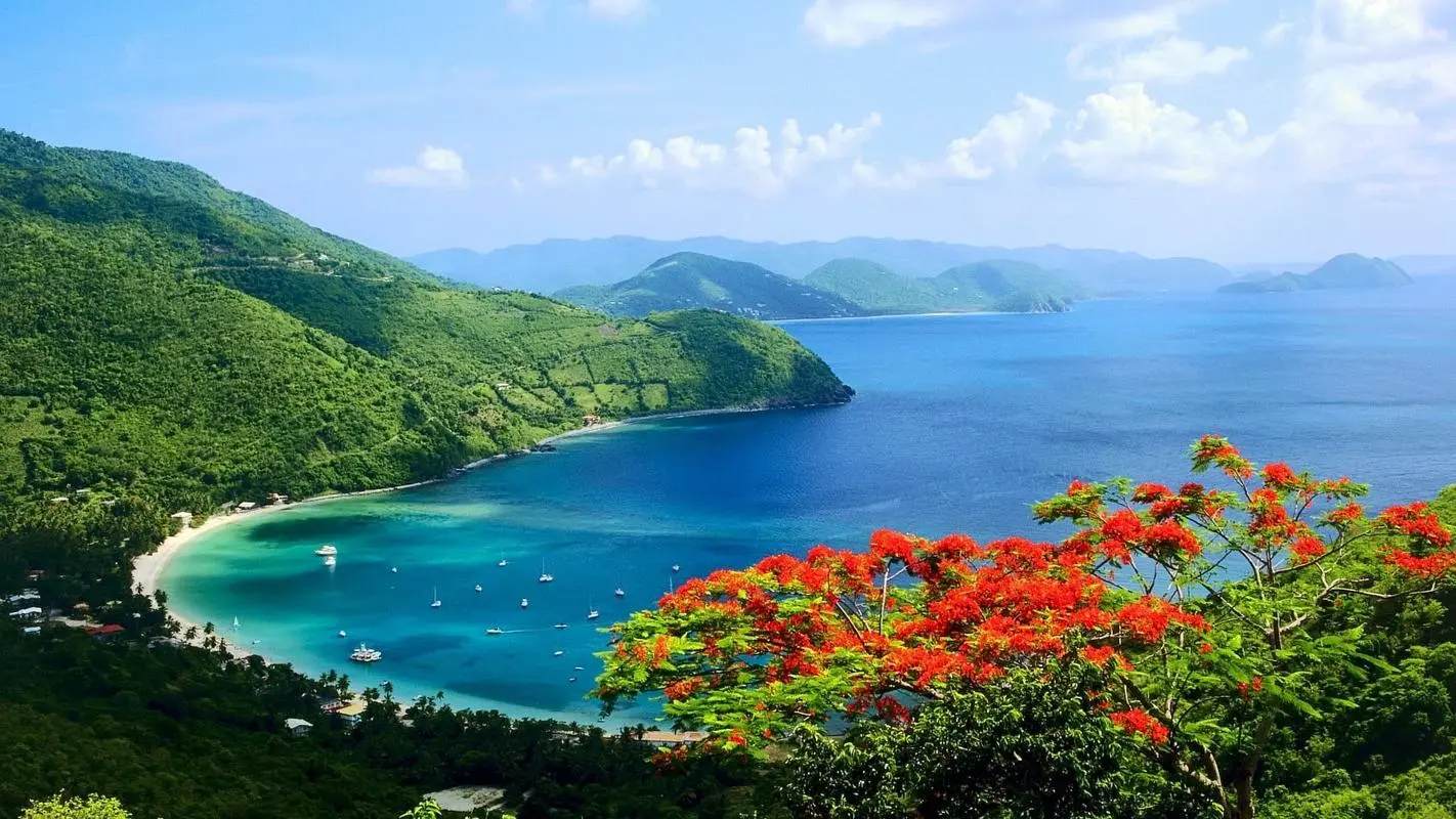 创意可靠性